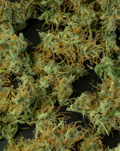 Optico Profumi THC