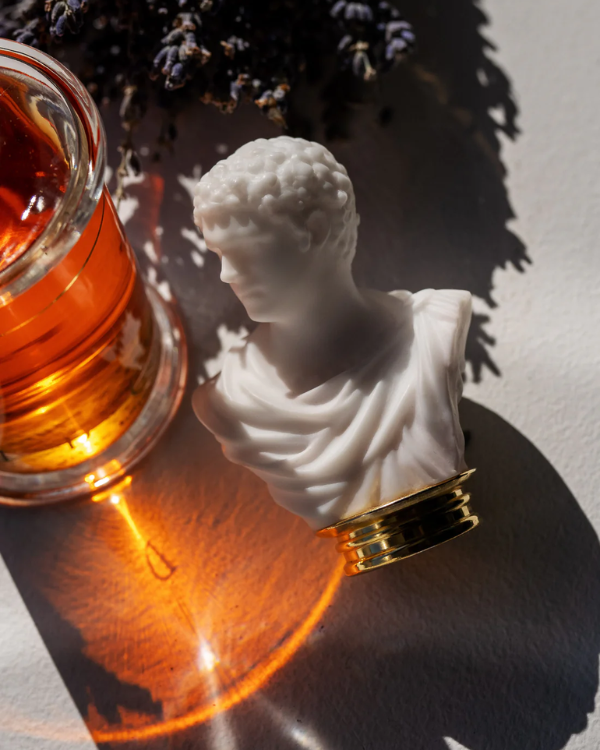 MDCI Chypre Palatin