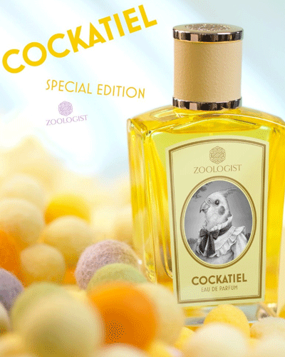 Zoologist Cockatiel