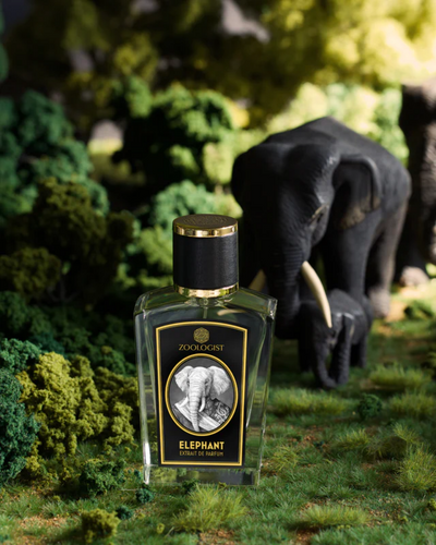 Zoologist Elephant