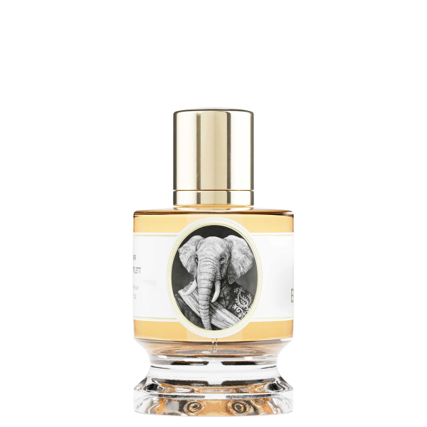 Zoologist Elephant