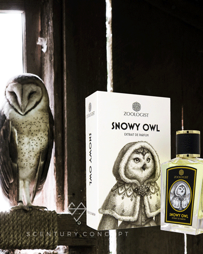 Zoologist Snowy Owl